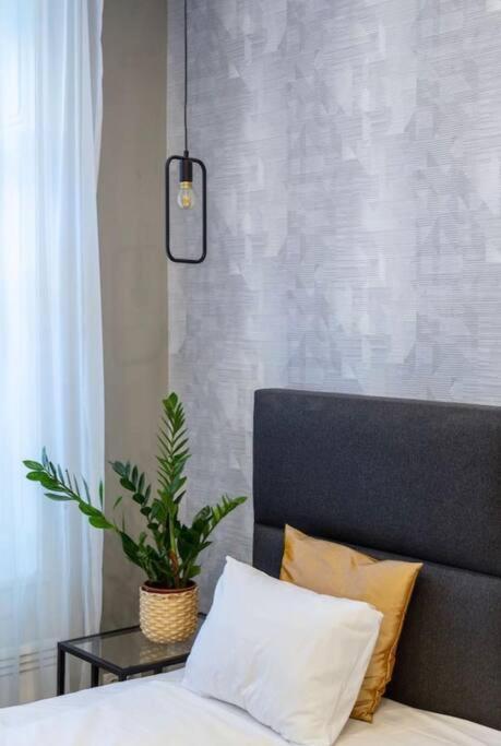 Luxurious Studio Located In The Heart Of Budapeşte Dış mekan fotoğraf